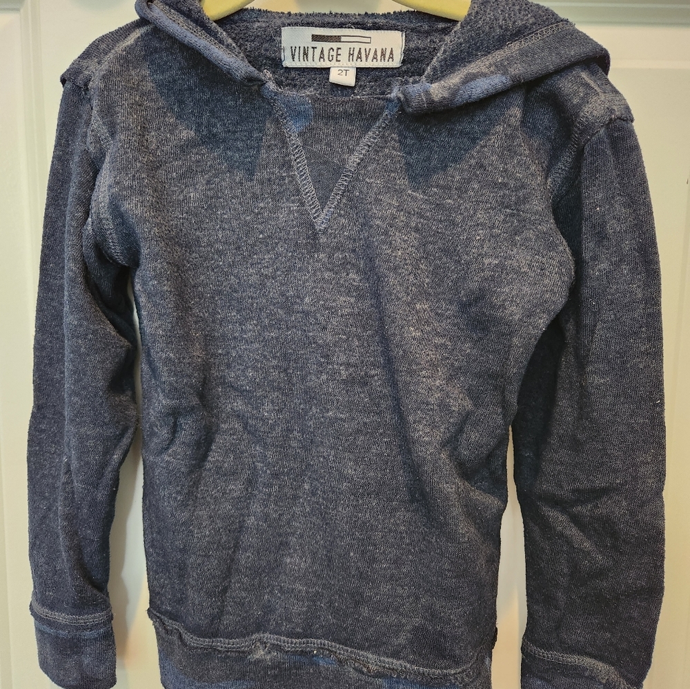 Vintage Havana Boys Navy Burnout Sweatsuit- Size 2T